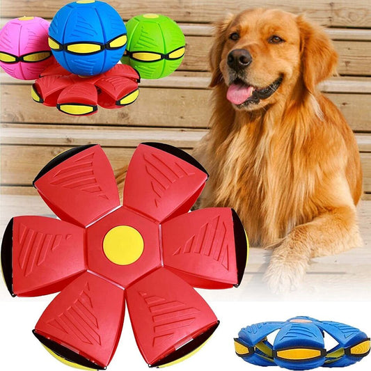 Doggy Disc Ball