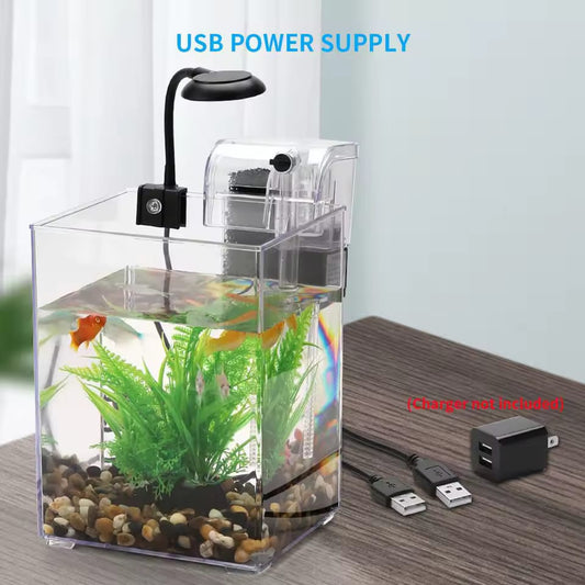 Petit Aquarium de poissons précieux avec lumière LED