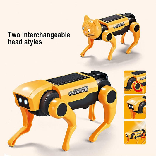 Robot Solaire pour Enfants