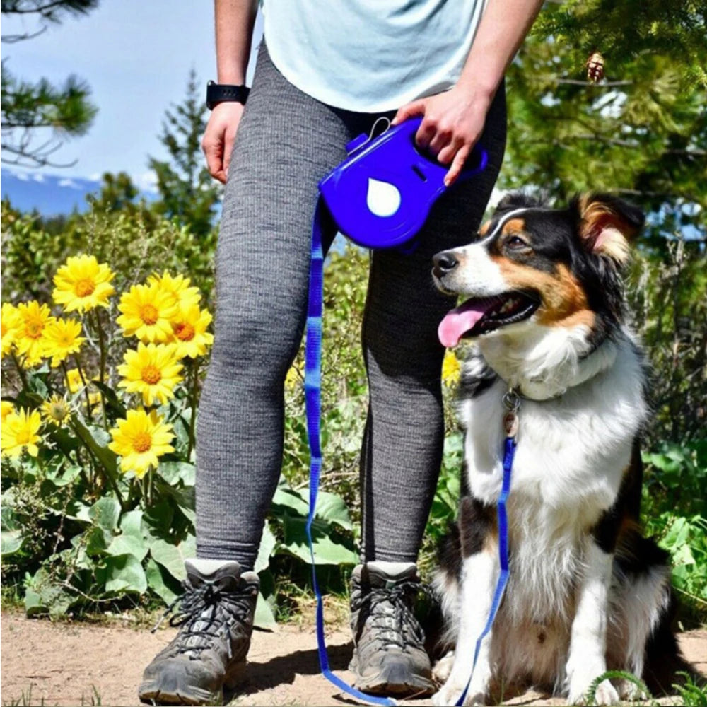 Laisse Rétractable existent 5 en 1 pour Chien et Chiot