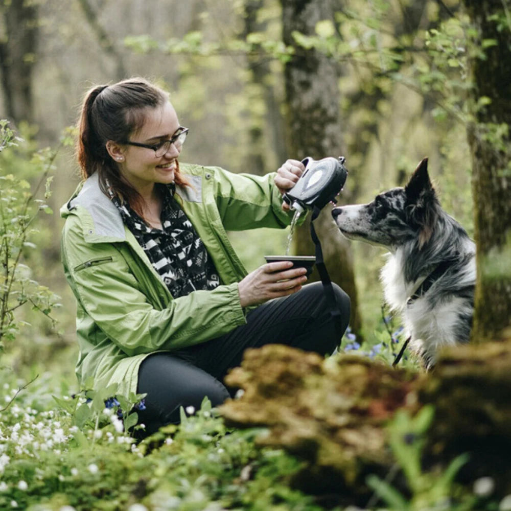 Laisse Rétractable existent 5 en 1 pour Chien et Chiot