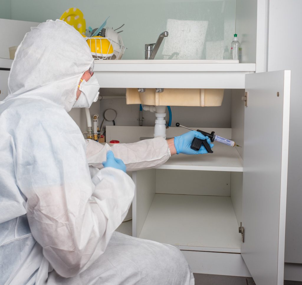 Cafard gel - Anti cafard - 50g