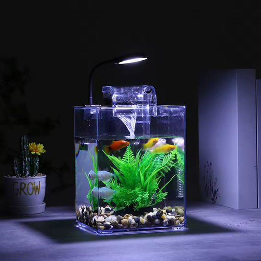 Petit Aquarium de poissons précieux avec lumière LED