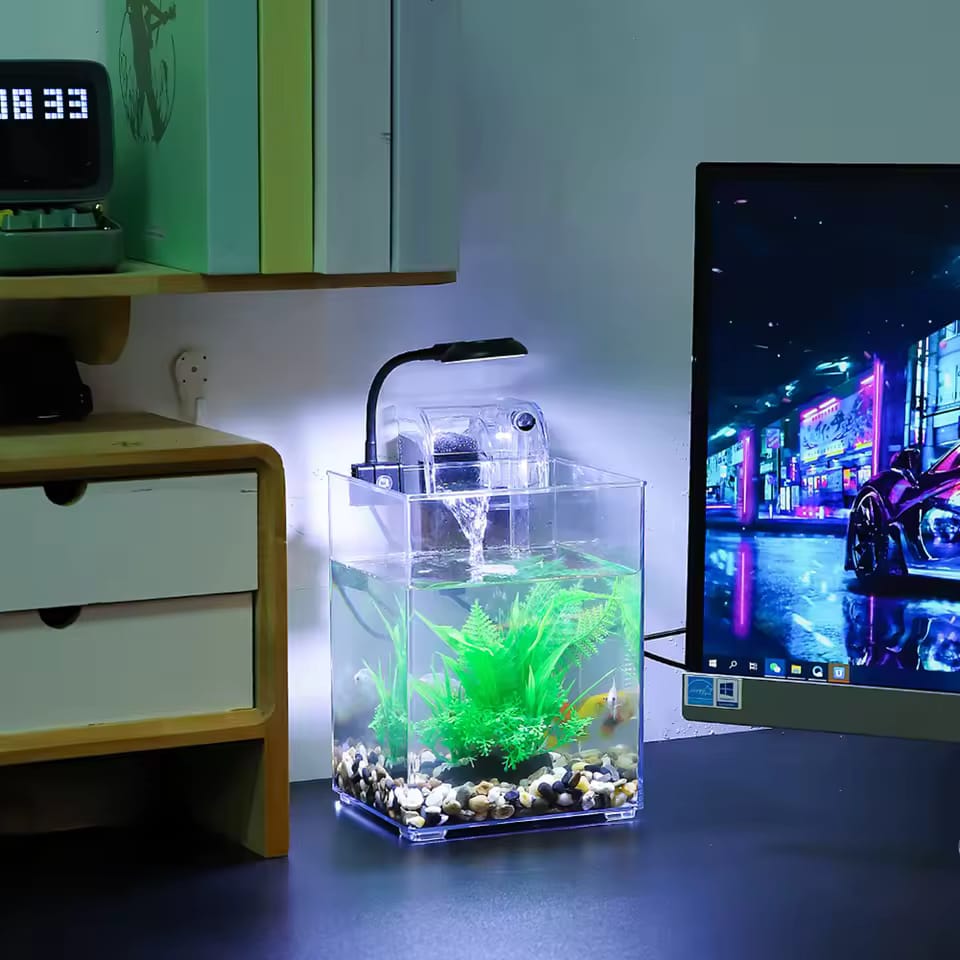 Petit Aquarium de poissons précieux avec lumière LED