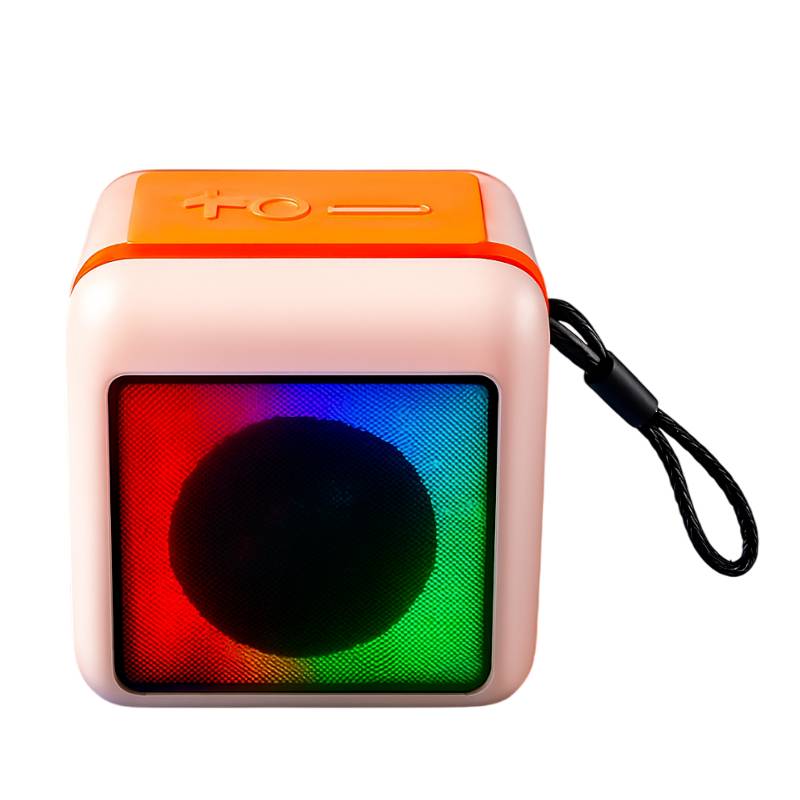 Haut parleur Bluetooth portable