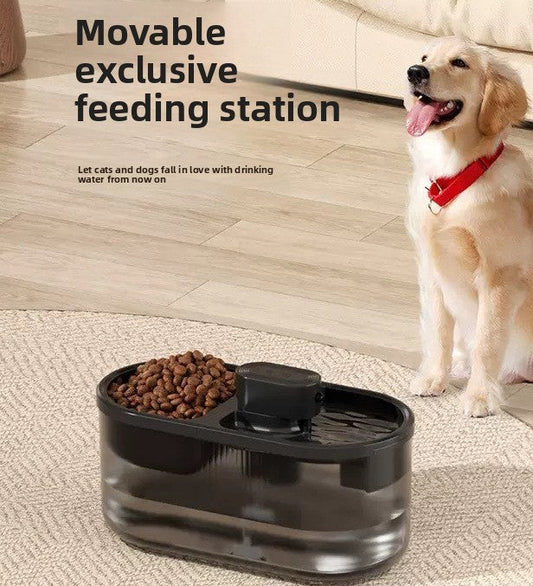 Distributeur d'eau intelligent 2-en-1 pour chiens et chats