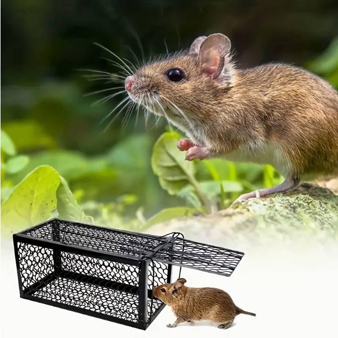 Piège à souris très sensible